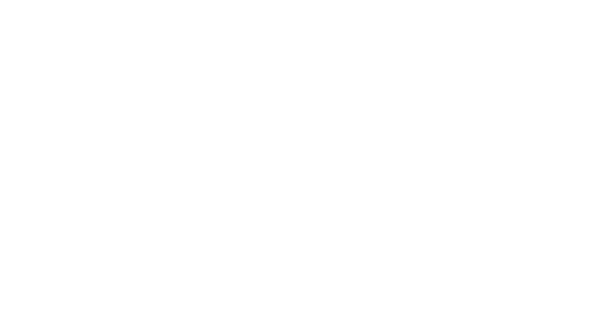 Stella Group